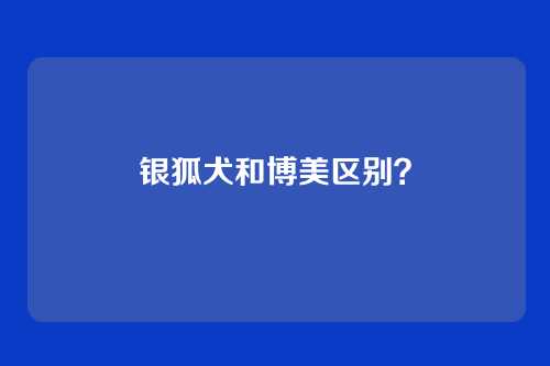 银狐犬和博美区别？