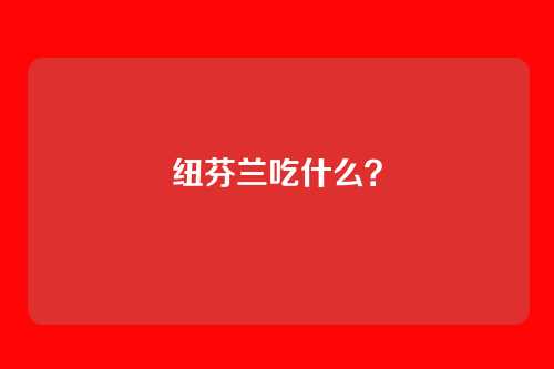 纽芬兰吃什么?