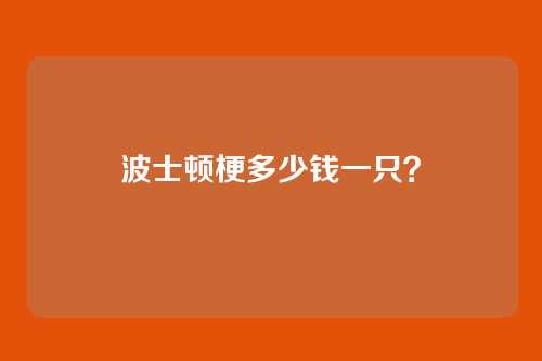 波士顿梗多少钱一只?