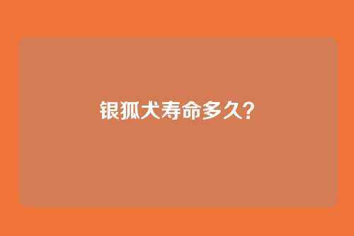 银狐犬寿命多久?
