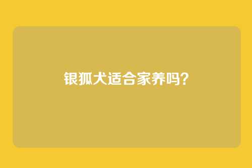 银狐犬适合家养吗?