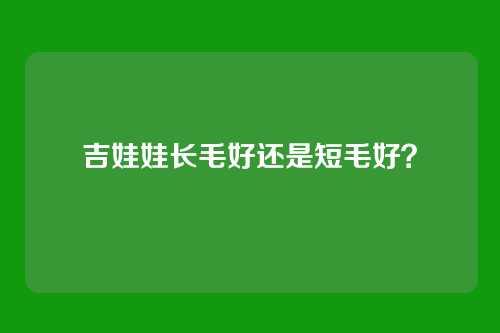 吉娃娃长毛好还是短毛好？