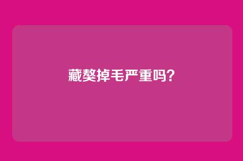藏獒掉毛严重吗?
