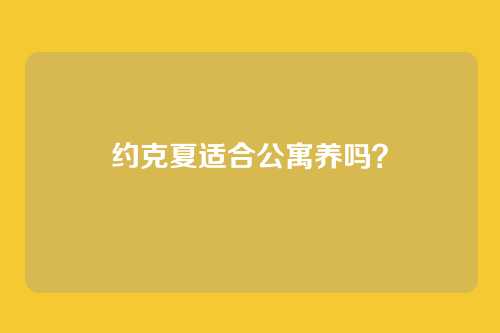 约克夏适合公寓养吗?