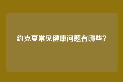 约克夏常见健康问题有哪些？