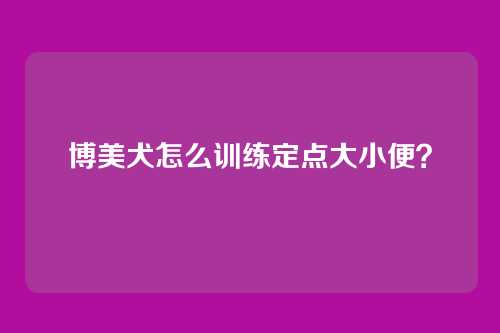 博美犬怎么训练定点大小便?