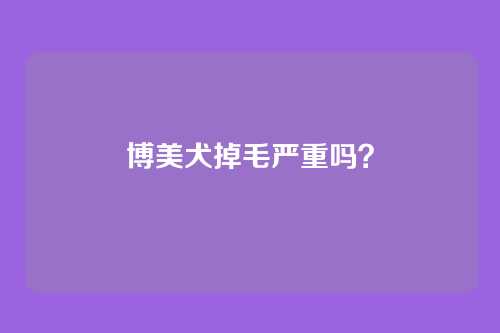 博美犬掉毛严重吗?