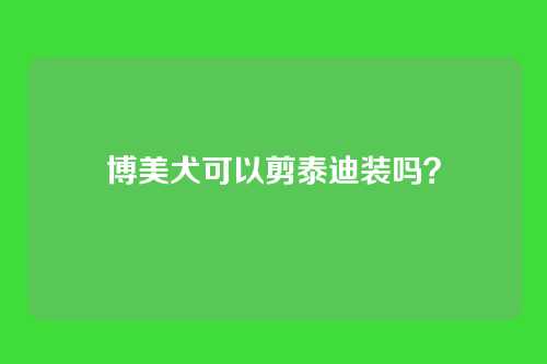 博美犬可以剪泰迪装吗?