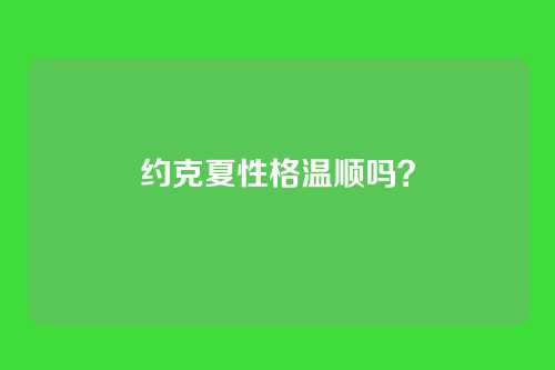 约克夏性格温顺吗?