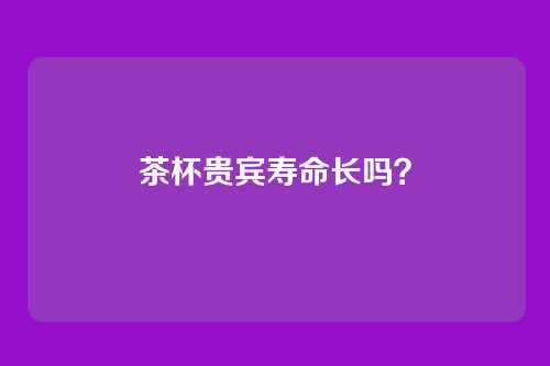茶杯贵宾寿命长吗？