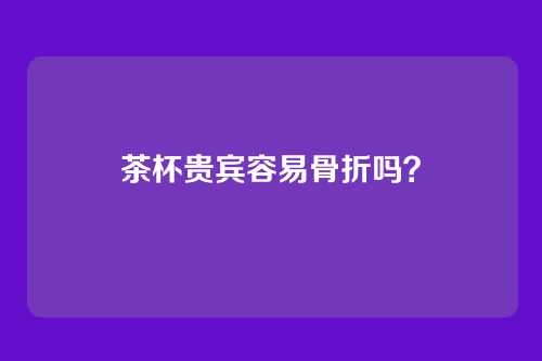 茶杯贵宾容易骨折吗？