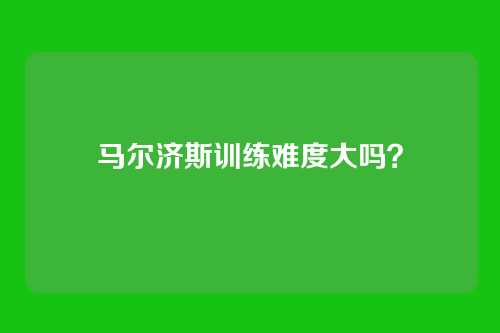 马尔济斯训练难度大吗?