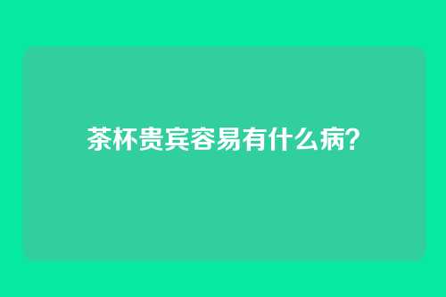茶杯贵宾容易有什么病?