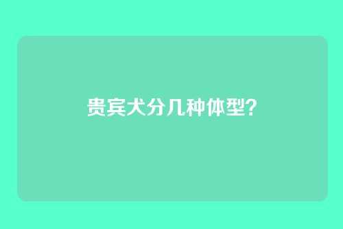 贵宾犬分几种体型？