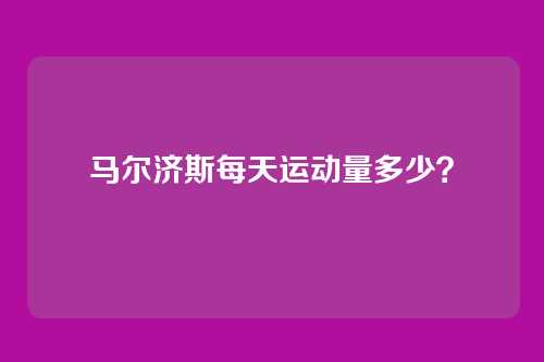 马尔济斯每天运动量多少？