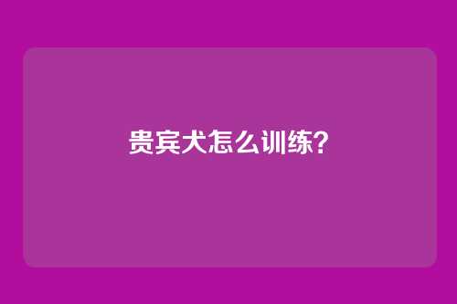 贵宾犬怎么训练?