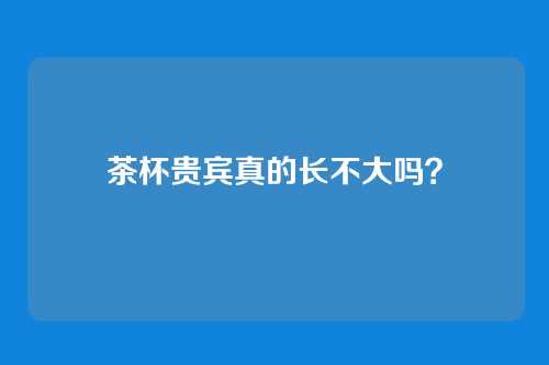 茶杯贵宾真的长不大吗?