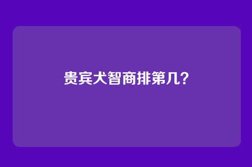 贵宾犬智商排第几？
