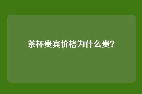 茶杯贵宾价格为什么贵？