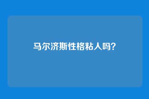 马尔济斯性格粘人吗？