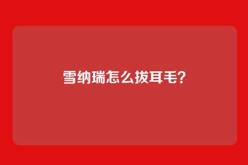 雪纳瑞怎么拔耳毛?