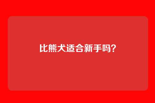 比熊犬适合新手吗?