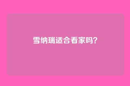 雪纳瑞适合看家吗？