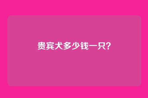 贵宾犬多少钱一只?