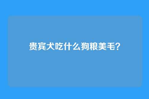 贵宾犬吃什么狗粮美毛?