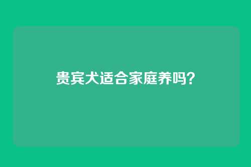 贵宾犬适合家庭养吗?