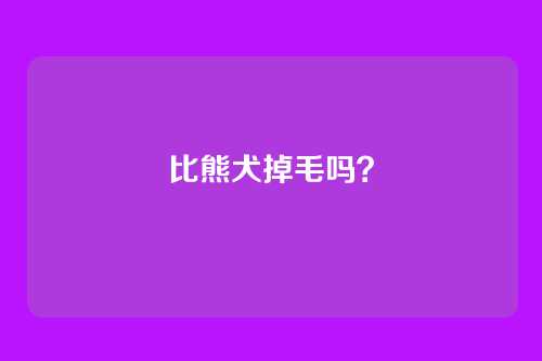 比熊犬掉毛吗?