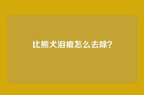 比熊犬泪痕怎么去除？