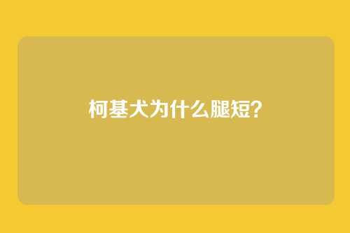 柯基犬为什么腿短?