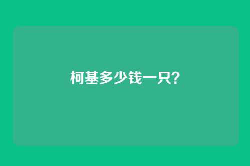 柯基多少钱一只？