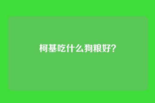 柯基吃什么狗粮好?