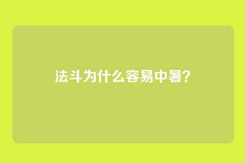 法斗为什么容易中暑？