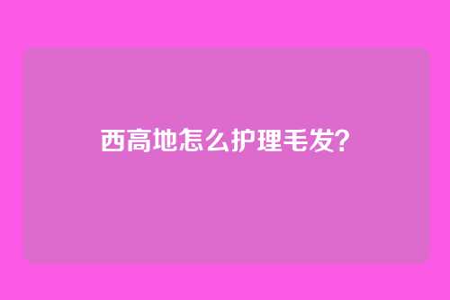 西高地怎么护理毛发?