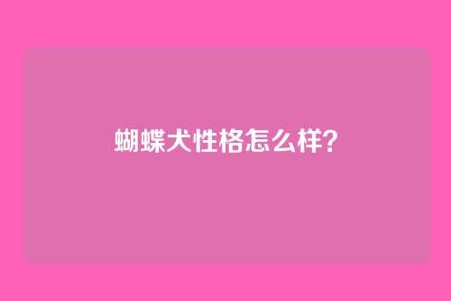 蝴蝶犬性格怎么样?