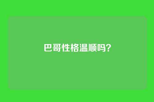 巴哥性格温顺吗?