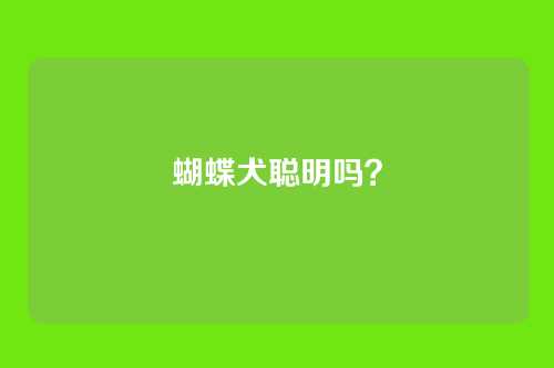 蝴蝶犬聪明吗？