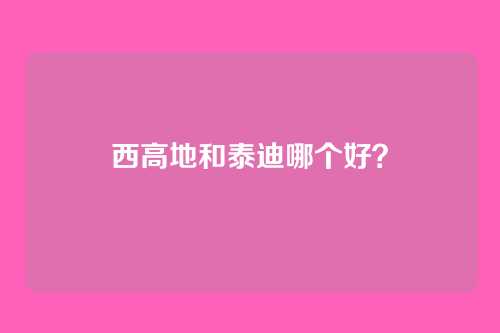 西高地和泰迪哪个好?