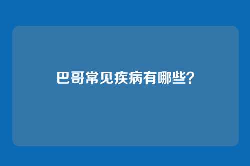 巴哥常见疾病有哪些？