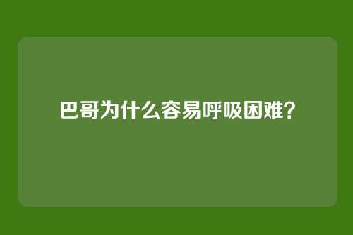 巴哥为什么容易呼吸困难?