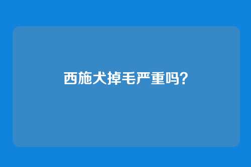 西施犬掉毛严重吗？