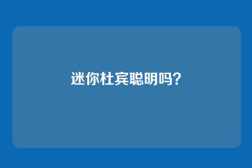 迷你杜宾聪明吗?