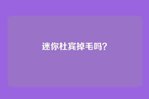 迷你杜宾掉毛吗？