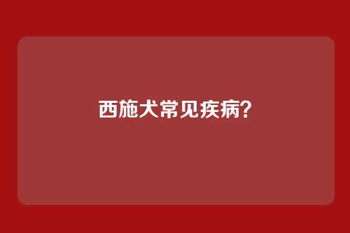 西施犬常见疾病?