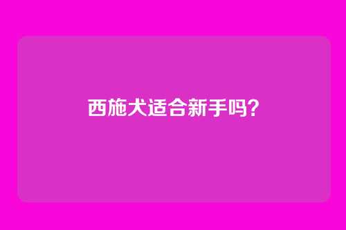 西施犬适合新手吗？