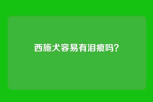 西施犬容易有泪痕吗?