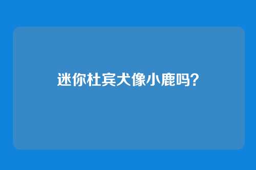 迷你杜宾犬像小鹿吗?